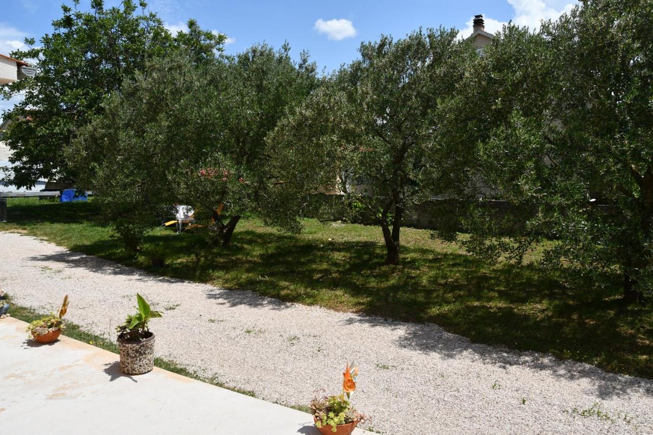 Apartmani Joja Biograd Na Moru Exterior foto